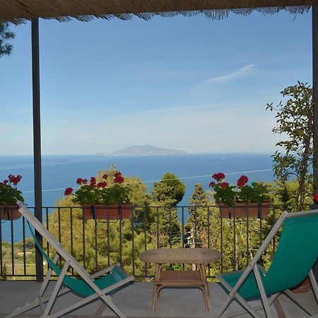 Le Ginestre Di Capri Bb & Holiday House Anacapri  Zewnętrze zdjęcie