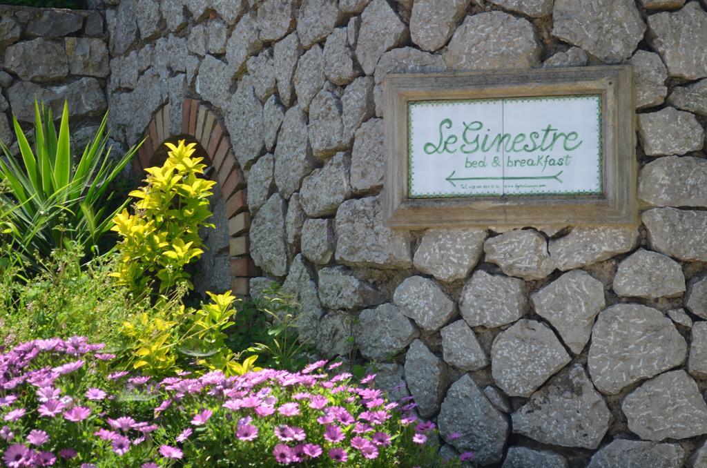 Le Ginestre Di Capri Bb & Holiday House Anacapri  Zewnętrze zdjęcie