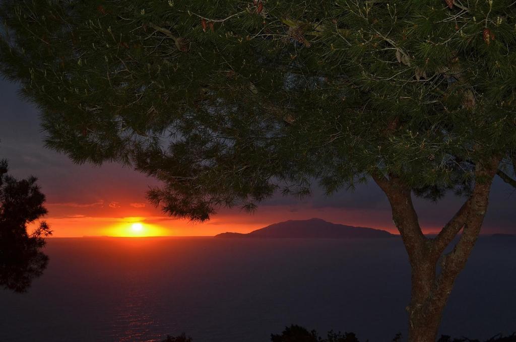 Le Ginestre Di Capri Bb & Holiday House Anacapri  Pokój zdjęcie