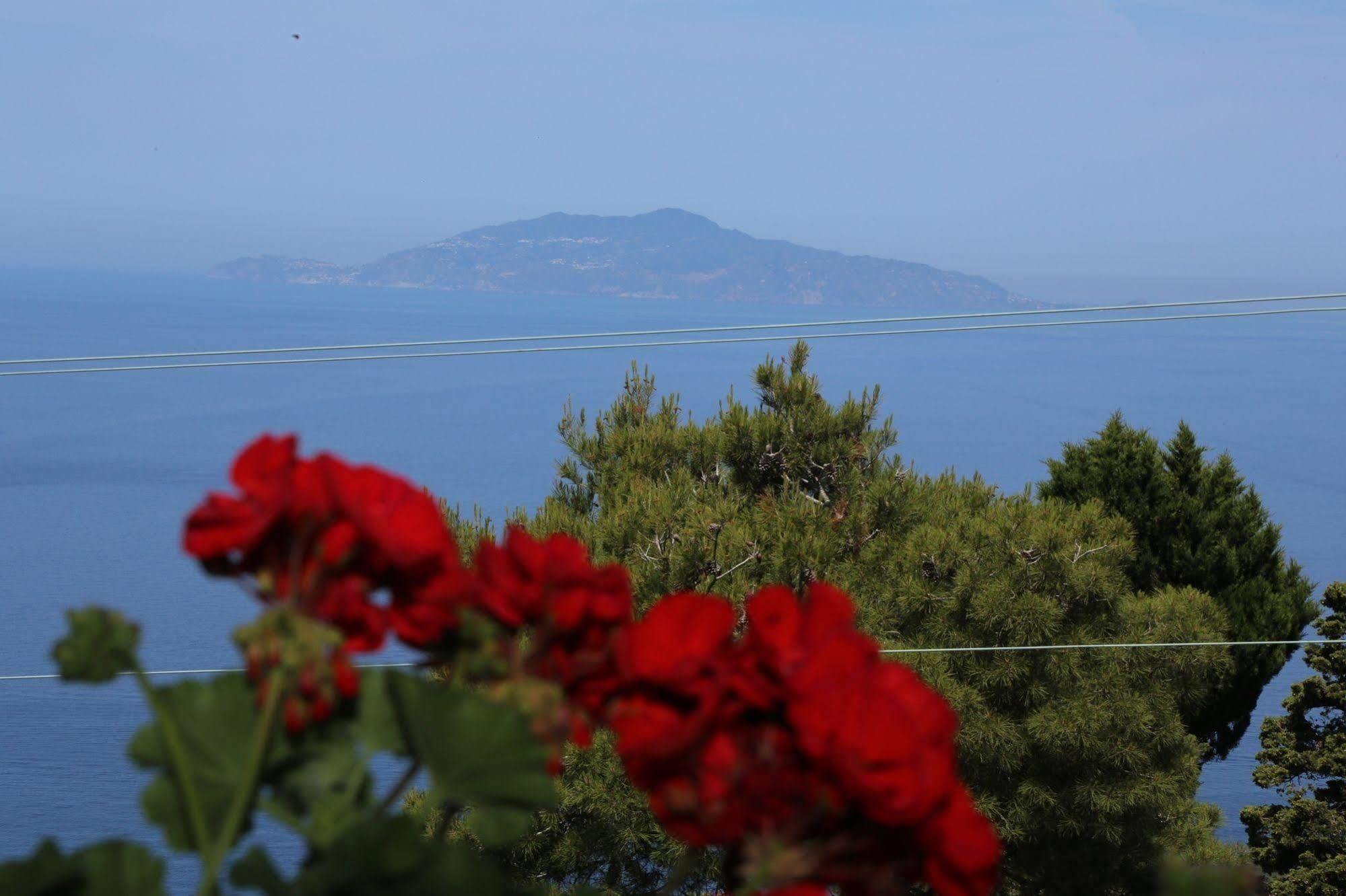 Le Ginestre Di Capri Bb & Holiday House Anacapri  Zewnętrze zdjęcie